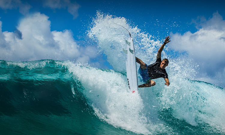 Sustainability is not an option for MSD; it is the fundamental logic behind our development.